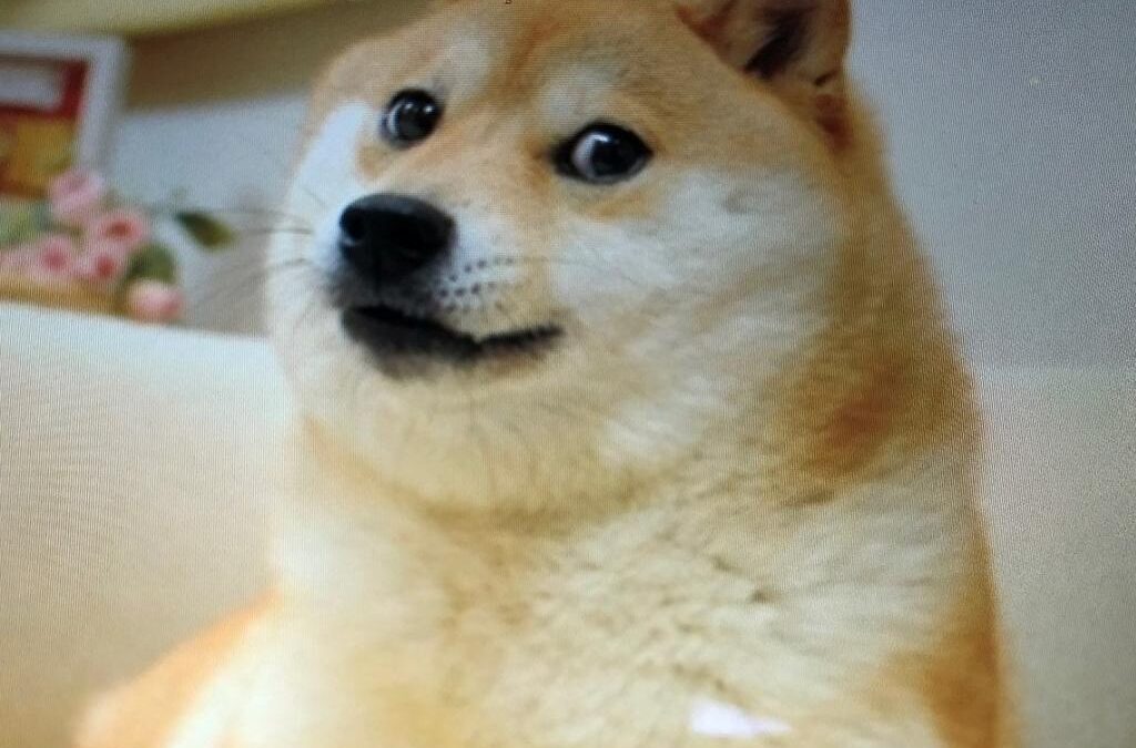 Where Will Dogecoin Go After SNL